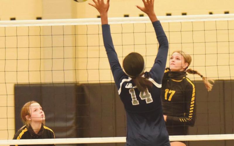 Lady Pirate JV Volleyball