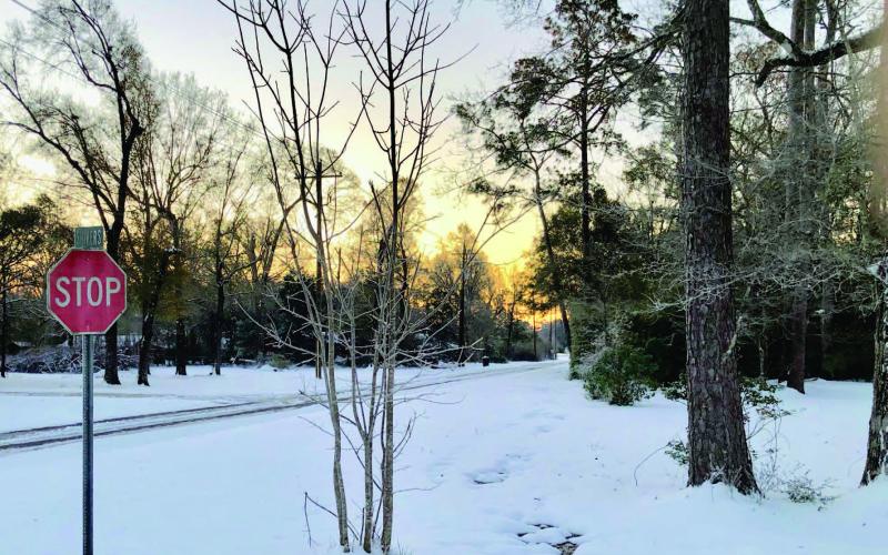 Area survives Winter Storm Enzo