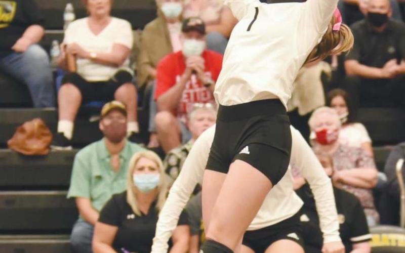 Brooklyn Healy prepares to set the ball in action against LCM last week.