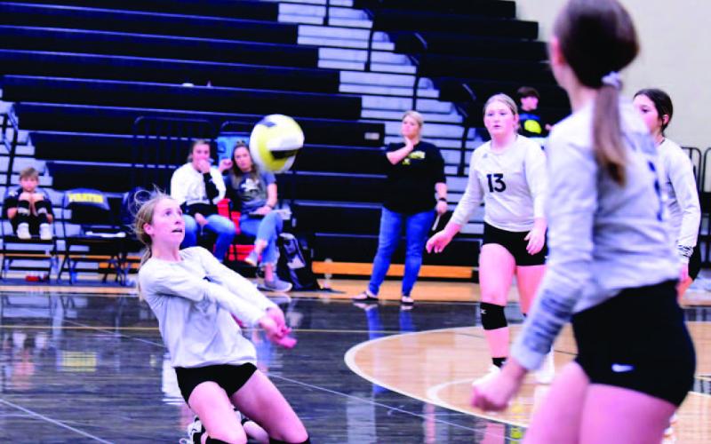 Michaela Droptini gets under the ball to set it for a return to Deweyville. Photo by Randall Luker
