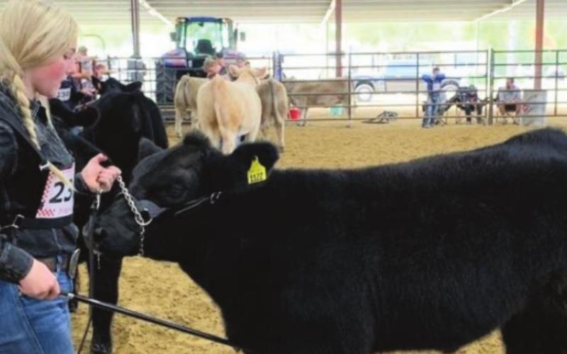 Vidor FFA Booster Club Hosted Livestock Show