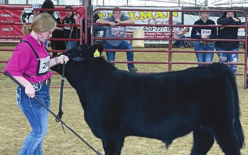Vidor FFA Booster Club Hosted Livestock Show