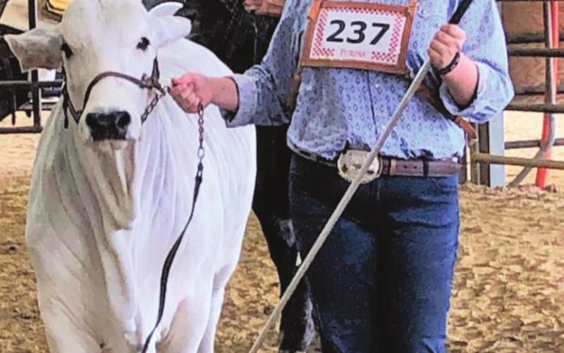 Vidor FFA Booster Club Hosted Livestock Show
