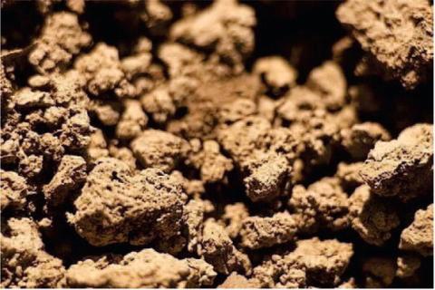 Clay soil is a challenge, since heavy clay soil drains slowly and retains moisture longer. After the soil dries completely, it becomes hard and brittle, often with fissures on a cracked surface (courtesy: gardendesign.com).