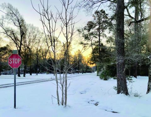 Area survives Winter Storm Enzo