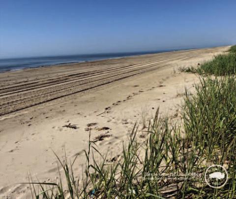 The beach at McFaddin National Wildlife Refuge in Sabine Pass, Texas