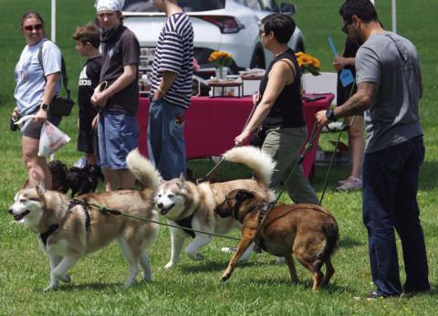 Barkfest a success