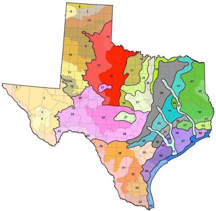This map depicts 61 soil types within the state of Texas. Many SETX gardeners have Gulf Coast Prairie soil type which can be beneficial to plants due clay soils nutrient density but is difficult to manage and allow plants maximum nutrient benefit (USDA-Natural Resource Conservation Service).