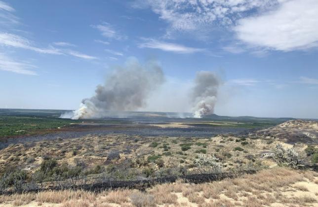 Game Ranch Wildfire in Nolan County (Texas A&amp;M Forest Service)