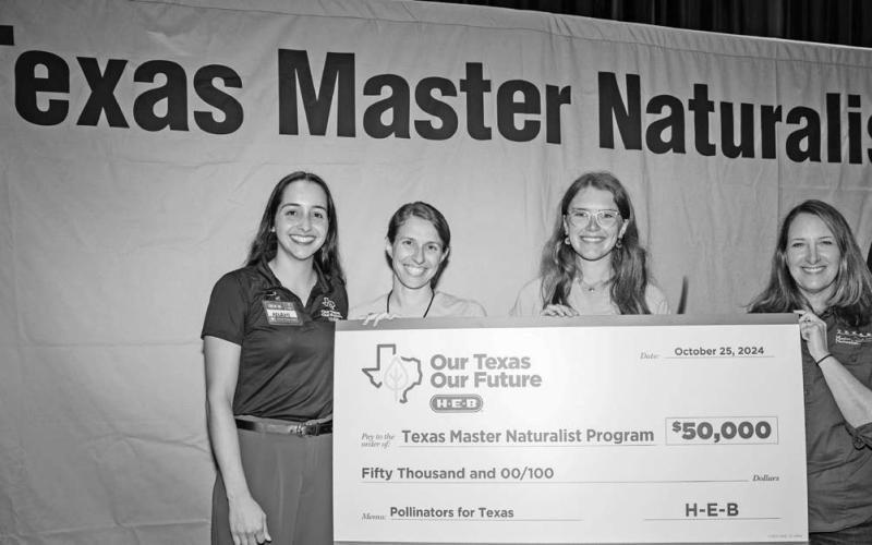 Texas Master Naturalist Program Teams Up with H-E-B to Fund Pollinators for Texas