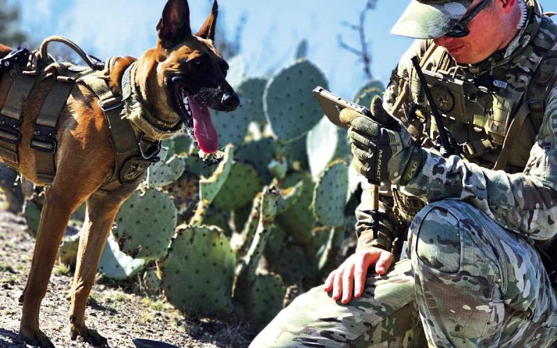 DPS K-9 Tracks Down Fugitive After Miles-Long Manhunt in Frio County