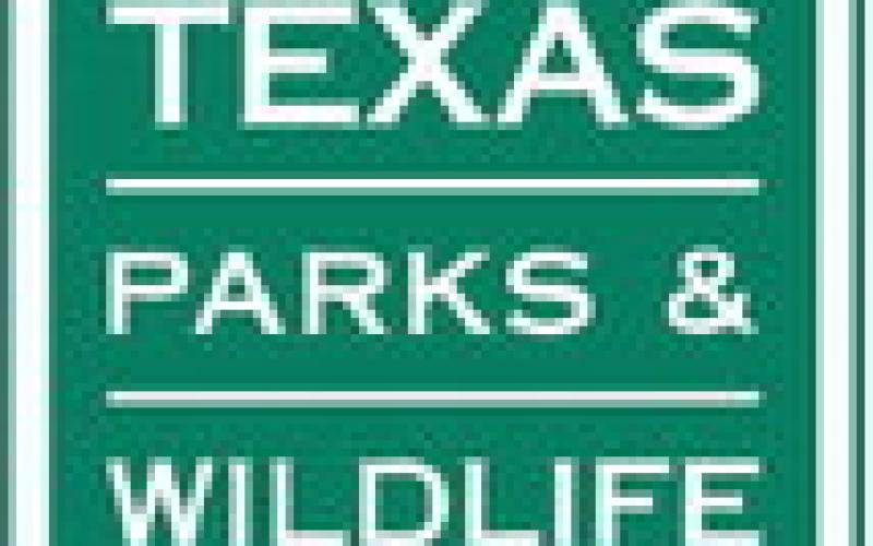 TPW Commission Approves Statewide Changes to Spotted Seatrout Regulations, Adopts Creation of Oyster Advisory Committee