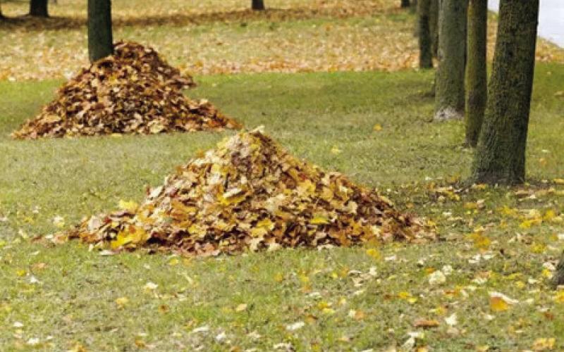 Colorful leaves raked together into small mounds, ready to be relocated as a winterizing mulch layer into flower &amp;amp; garden beds, form a perimeter ‘ring’ around trees &amp;amp; shrubs, provide a natural habitat to small animals &amp;amp; insects, or added to a compost pile to decompose into soil amending nutrients (courtesy: ugaloo.com).