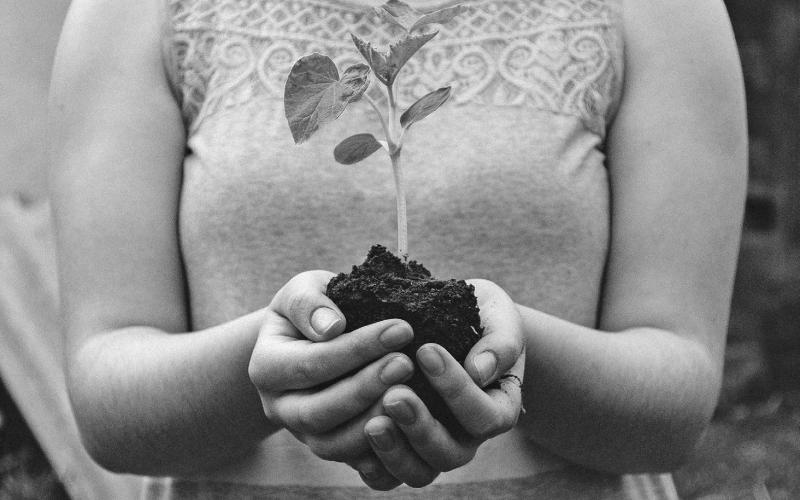 Photo courtesy of Unsplash