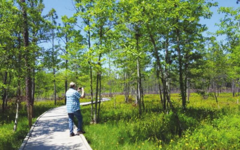 Third year in a row Big Thicket National Preserve welcomed record visitation