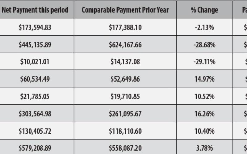 Vidor sees sales surge in latest tax allocation