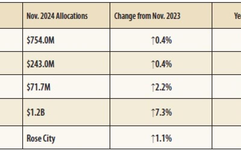 For details on November sales tax allocations to individual cities, counties, transit systems and special purpose districts, visit the Comptroller’s Monthly Sales Tax Allocation Comparison Summary Reports.