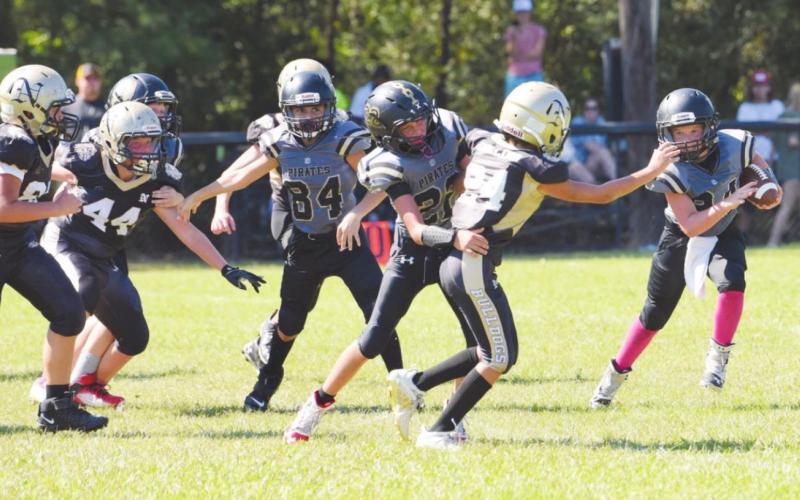 The VPIFA Seniors played Nederland in their final home outing of 2020. Pictured are:RB #24 Bryce Walker, QB #22 Jett Brucia and receiver #84 Landon Barnhart.