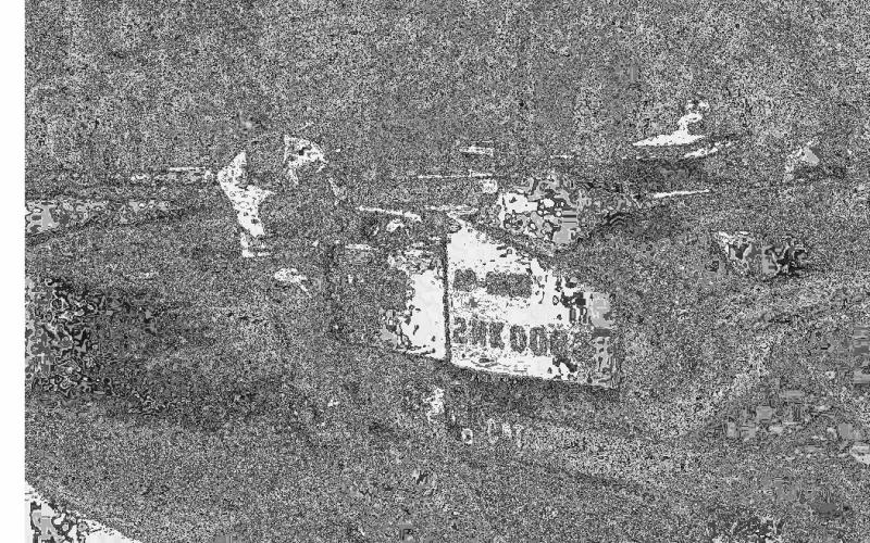 VIDOR’S PAST