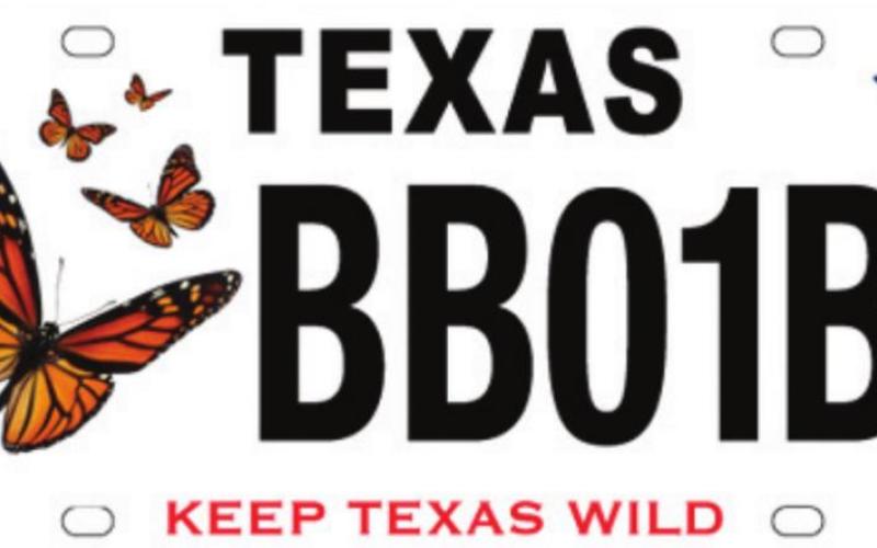 New monarch butterfly conservation license plate available for Texas drivers