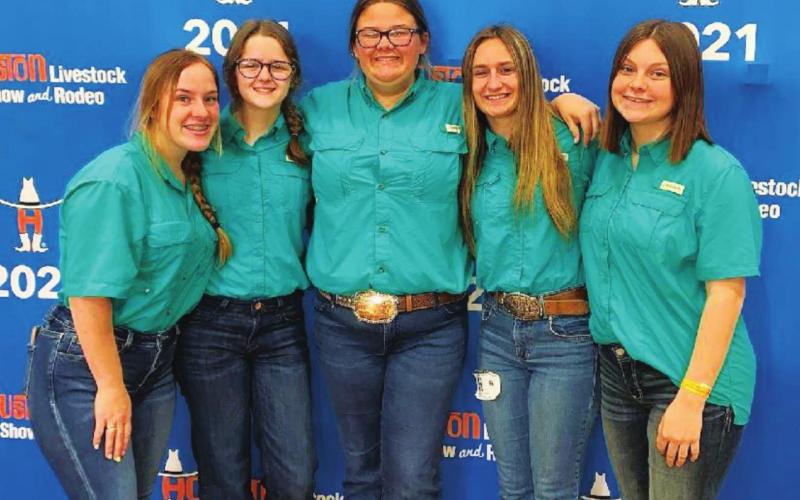 Houston Livestock Show