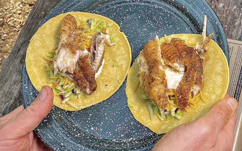 Cajun Blackened Catfish Tacos