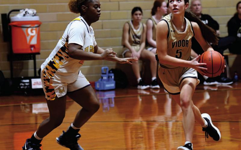 Hadlie Jackson keeps her eyes on the goal as she prepares to shoot in Saturday game versus LaMarque.