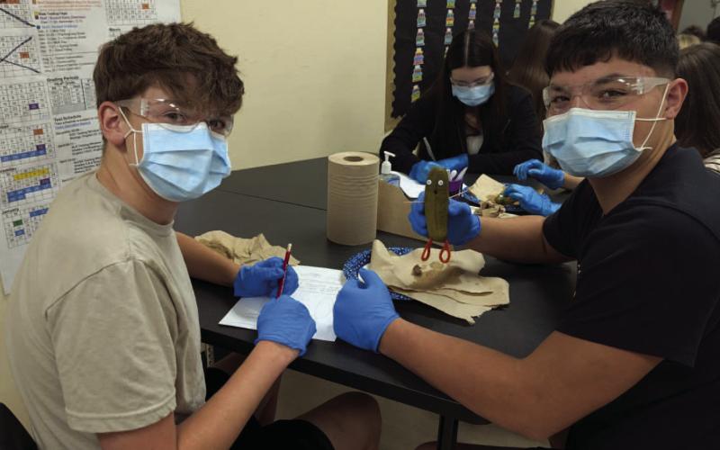VHS Health Science Students Perform “Pickle Surgery” for Hands-On Learning