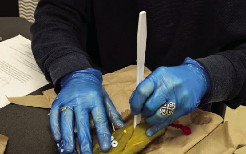 VHS Health Science Students Perform “Pickle Surgery” for Hands-On Learning