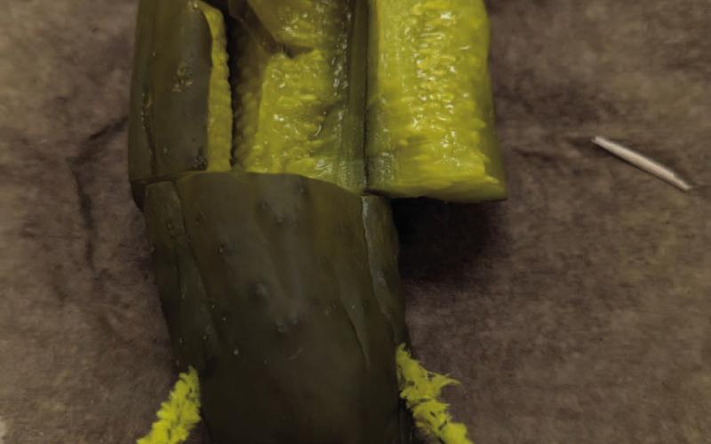 VHS Health Science Students Perform “Pickle Surgery” for Hands-On Learning