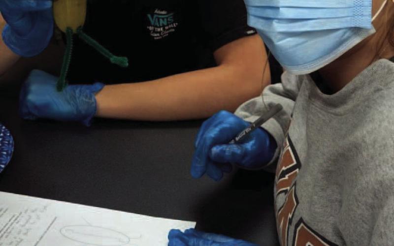 VHS Health Science Students Perform “Pickle Surgery” for Hands-On Learning
