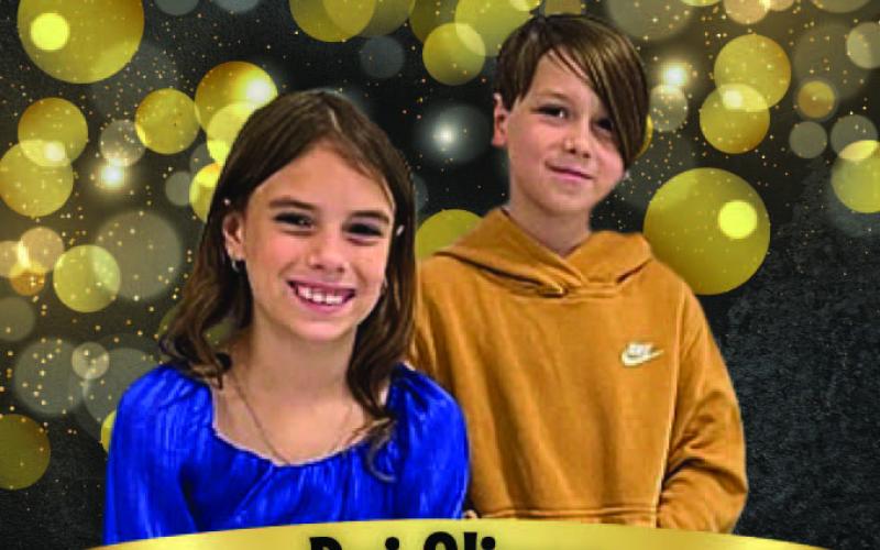 Mr.andMissVidorElementary