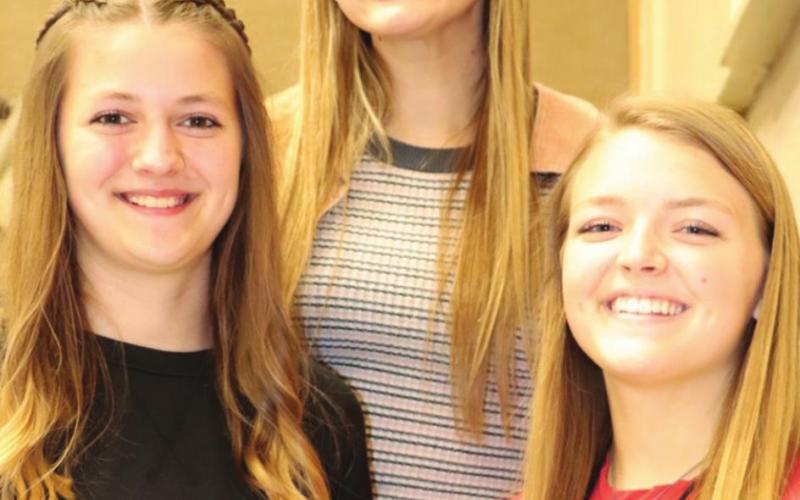 Vidor High School Escapades Beauties