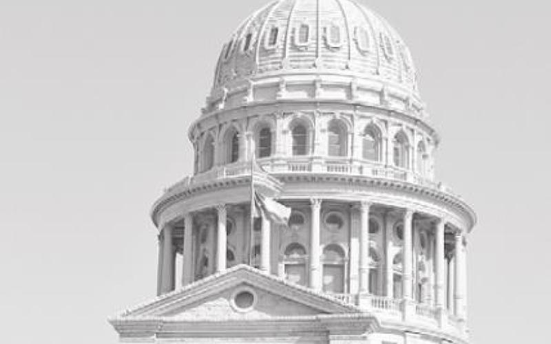 Alt Text for Image