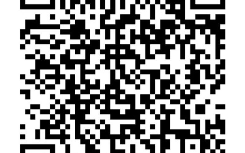 Alt Text for Image