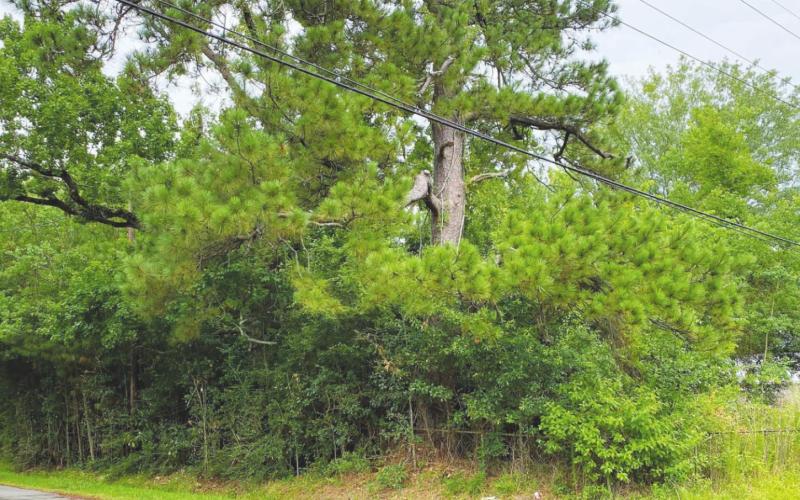 This property at 790 Butler Road is one of ten seized properties in Vidor, TX that are being auctioned by Orange County Sheriff Lane Mooney in an on-line tax sale public auction on the first Tuesday of August, starting at 10:00 a.m. on August 4, 2020. You can sign up to be a bidder in the on-line auction process by accessing the auction site at https://orange.texas.sheriffsaleauctions.com. Photo courtesy Orange County Tax Assessor/Collector