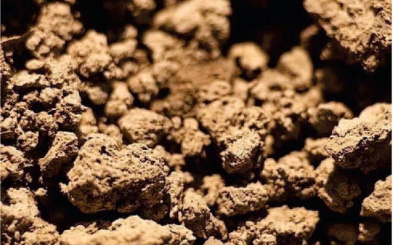 Clay soil is a challenge, since heavy clay soil drains slowly and retains moisture longer. After the soil dries completely, it becomes hard and brittle, often with fissures on a cracked surface (courtesy: gardendesign.com).