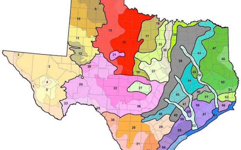 This map depicts 61 soil types within the state of Texas. Many SETX gardeners have Gulf Coast Prairie soil type which can be beneficial to plants due clay soils nutrient density but is difficult to manage and allow plants maximum nutrient benefit (USDA-Natural Resource Conservation Service).