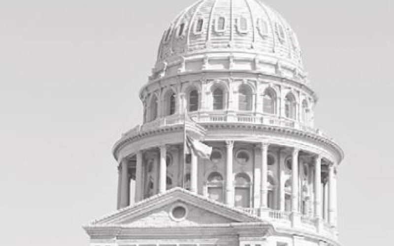 Alt Text for Image