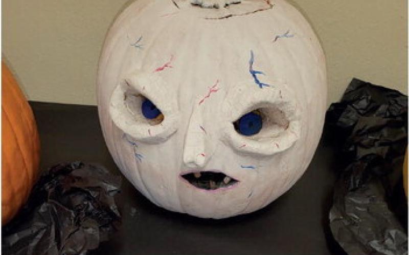 3rd place- Annabella.Burns &amp;amp; Amelia.Dulaney *Hutchinson Gilford Progeria Syndrome