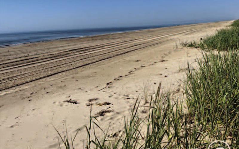 The beach at McFaddin National Wildlife Refuge in Sabine Pass, Texas