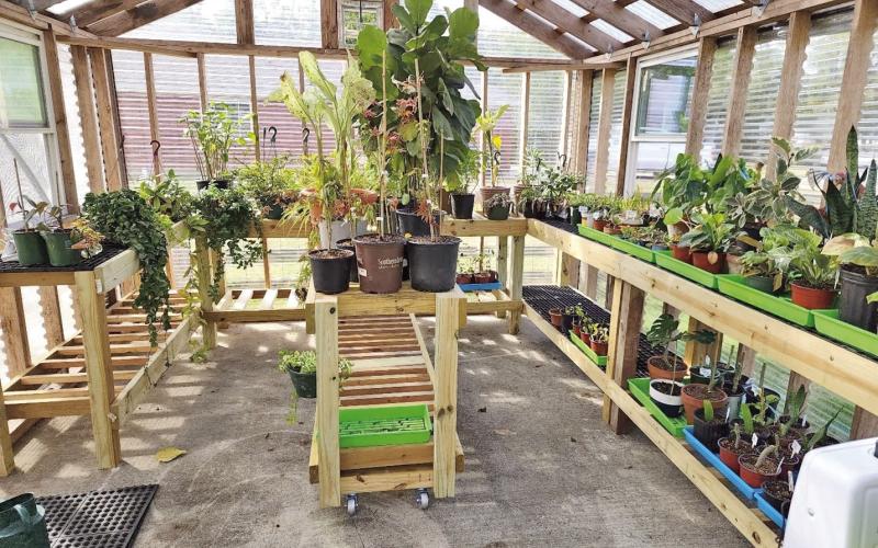 From Vision to Greenhouse: A Gardeners Journey