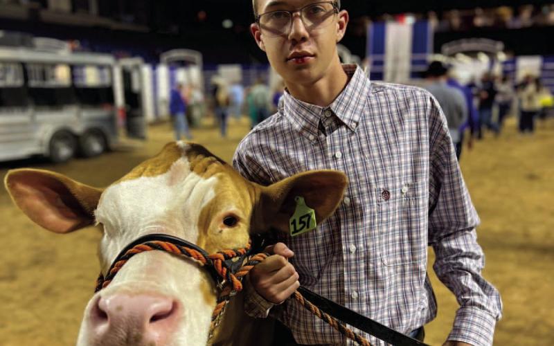 Nathan Evans was 15th overall market steer.