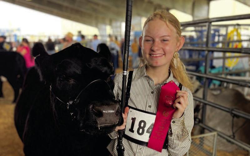 Ashley Muncy placed 2nd in class with her heifer.