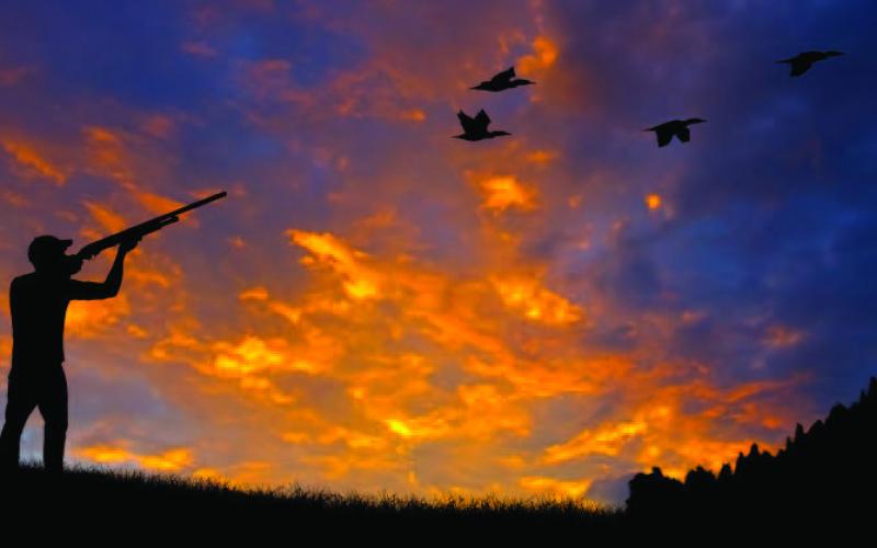 Waterfowl Seasons Open Soon