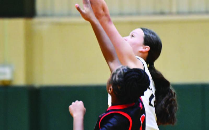 Madison Perkins shoots over a Reeves defender Saturday.