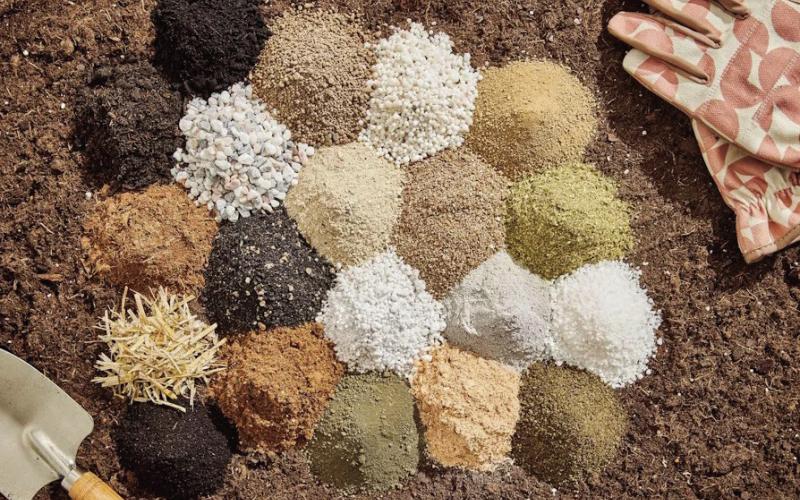 Improve Soil Structure and Nutrient Uptake