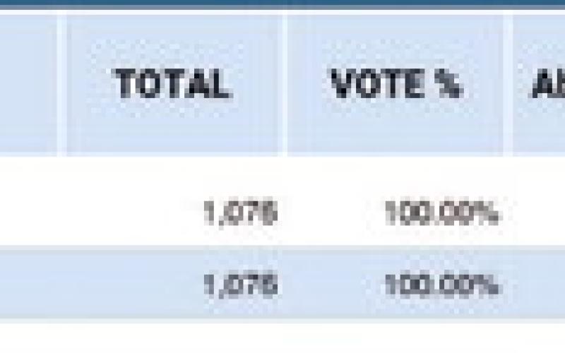 Vidor ISD Trustee Position 6