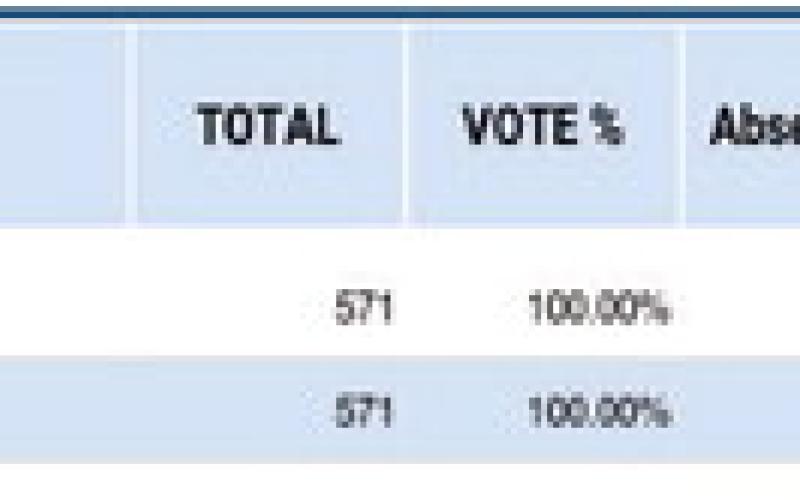 Vidor-Ward 4 City Council