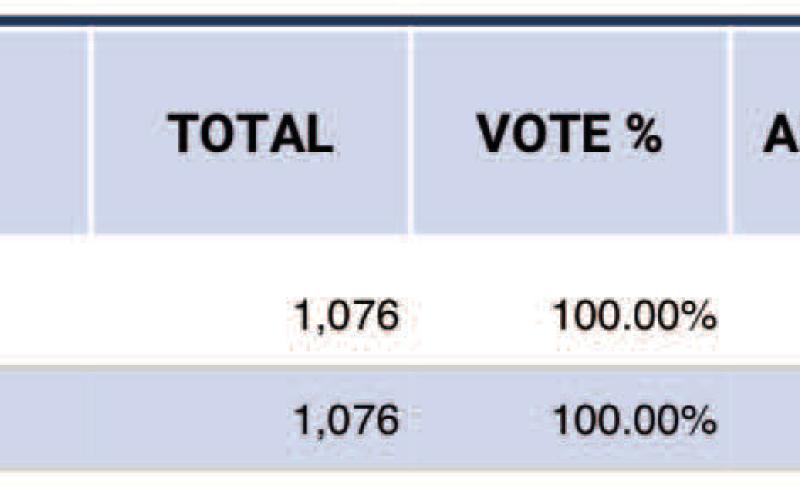 Vidor ISD Trustee Position 3